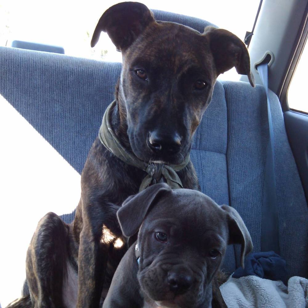 Meet your Posher, Carla